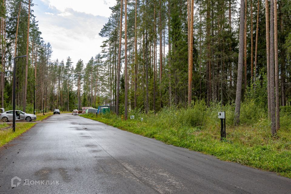 земля р-н Выборгский городской посёлок Рощино фото 6