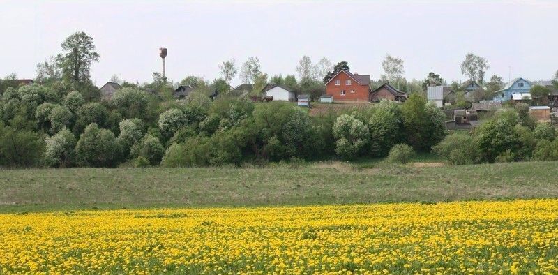 дом городской округ Можайский с. ДНП Старое фото 31