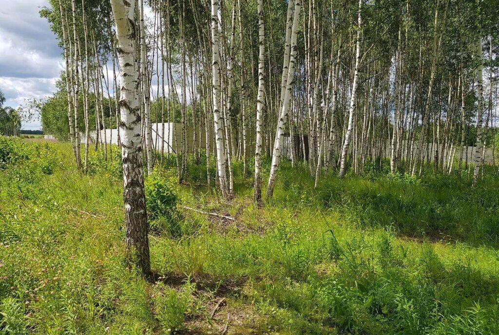 земля городской округ Дмитровский д Капорки Лобня фото 16