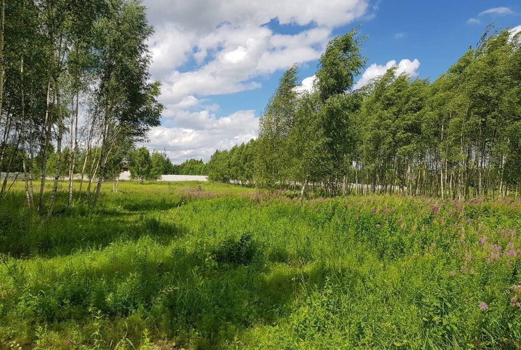 земля городской округ Дмитровский д Капорки Лобня фото 24