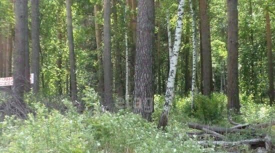 земля г Екатеринбург Геологическая Восточный берег мкр фото 5