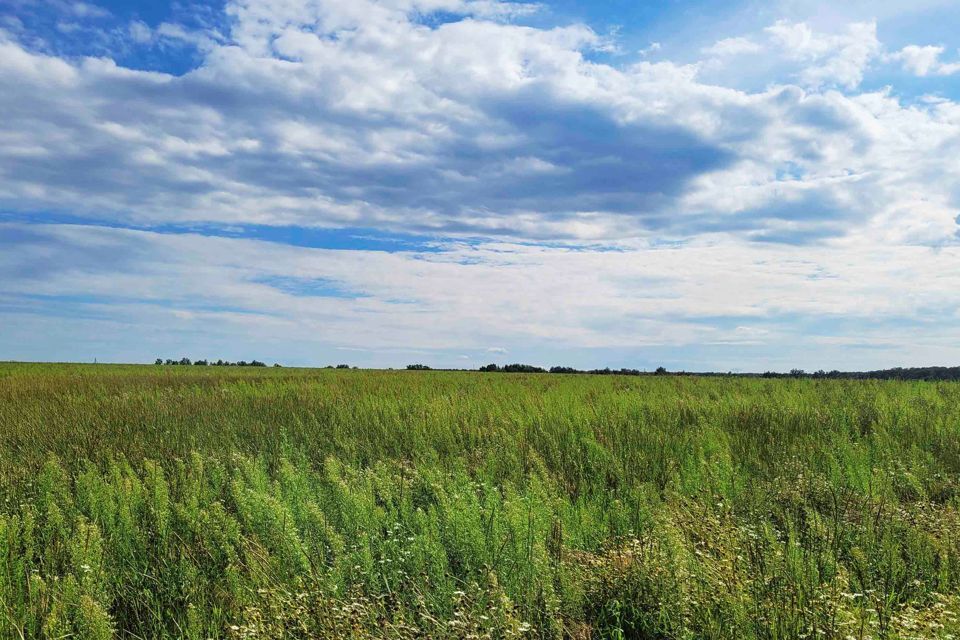 земля г Домодедово Барыбино, городской округ Домодедово фото 3