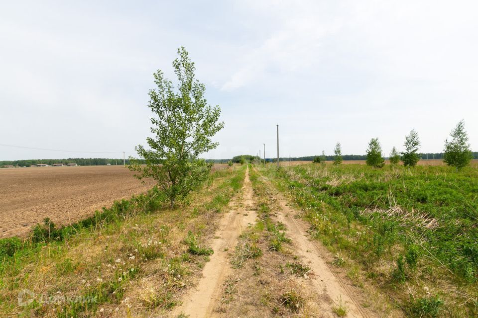 земля р-н Ленинский село Каменское фото 10