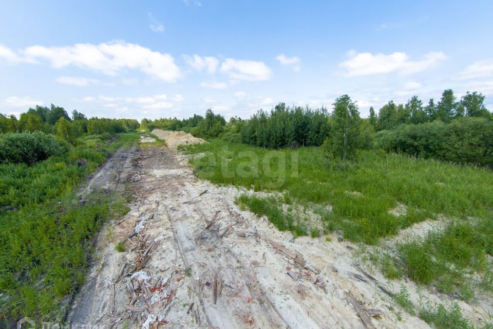 земля г Тюмень городской округ Тюмень, Садоводческое общество Ясень фото 6