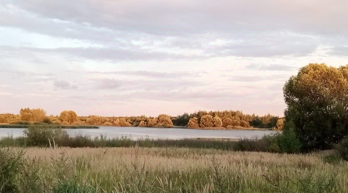 дом городской округ Воскресенск д Новосёлово ул Центральная 53 фото 4