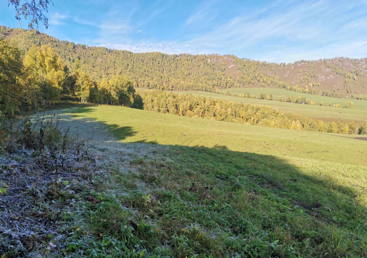 земля р-н Шебалинский Алтайский край, Алтайское фото 6