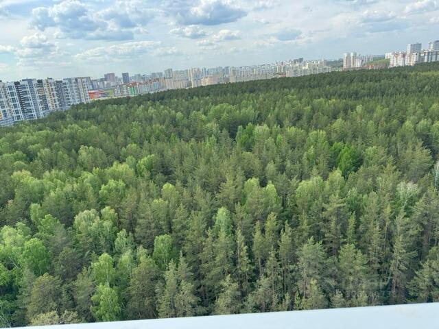Краснолесье Академический ул Амундсена 118 фото