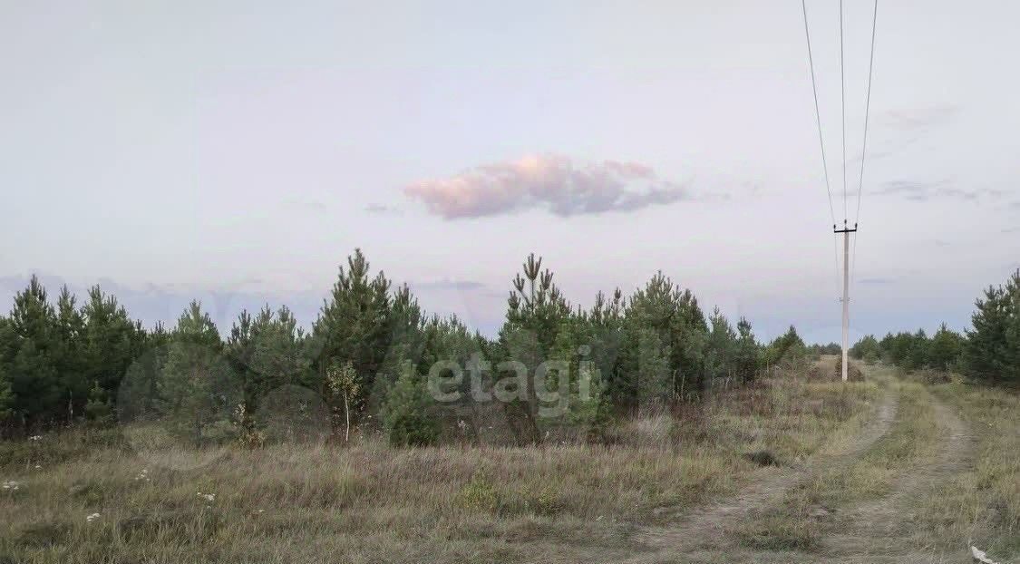 земля р-н Нижнетавдинский д Московка 3-я линия фото 6