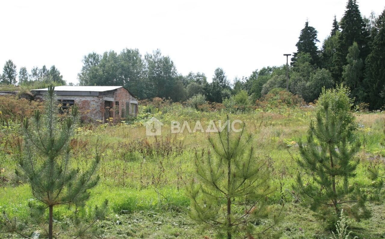 дом городской округ Можайский д Ваулино 103 км, Можайск, Минское шоссе фото 11