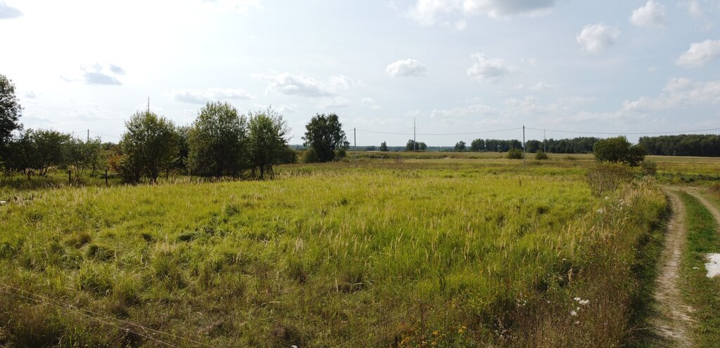 земля городской округ Воскресенск д Муромцево ул Солнечная фото 3