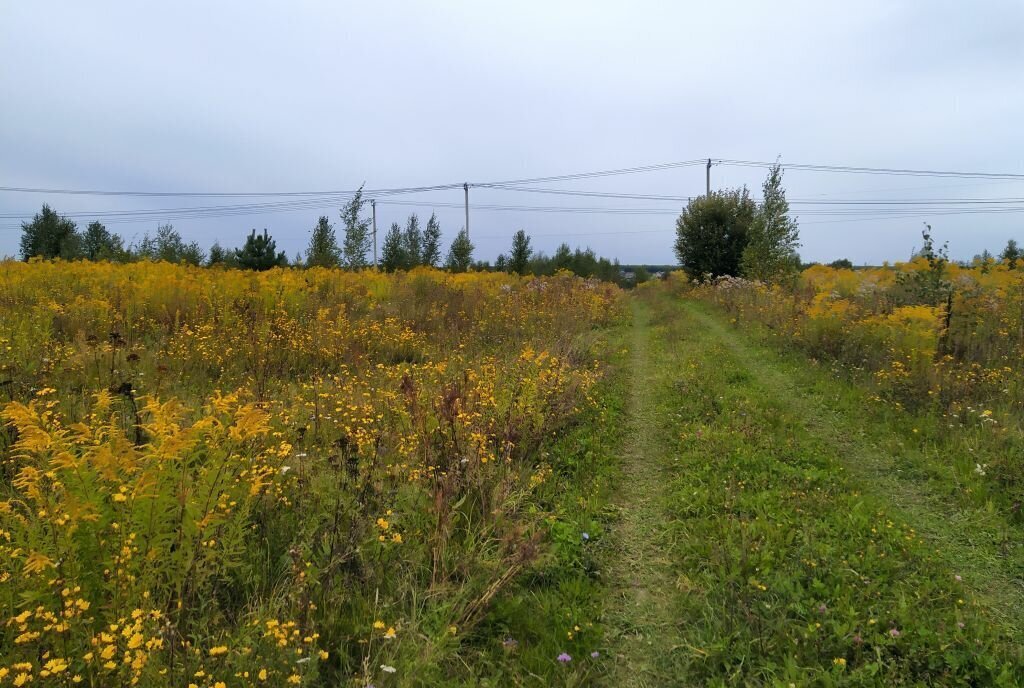 земля р-н Богородский д Килелей фото 5