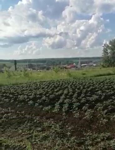 сельсовет, Алкинский фото