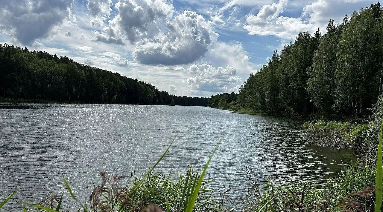 дом р-н Тюменский с Кулига фото 19