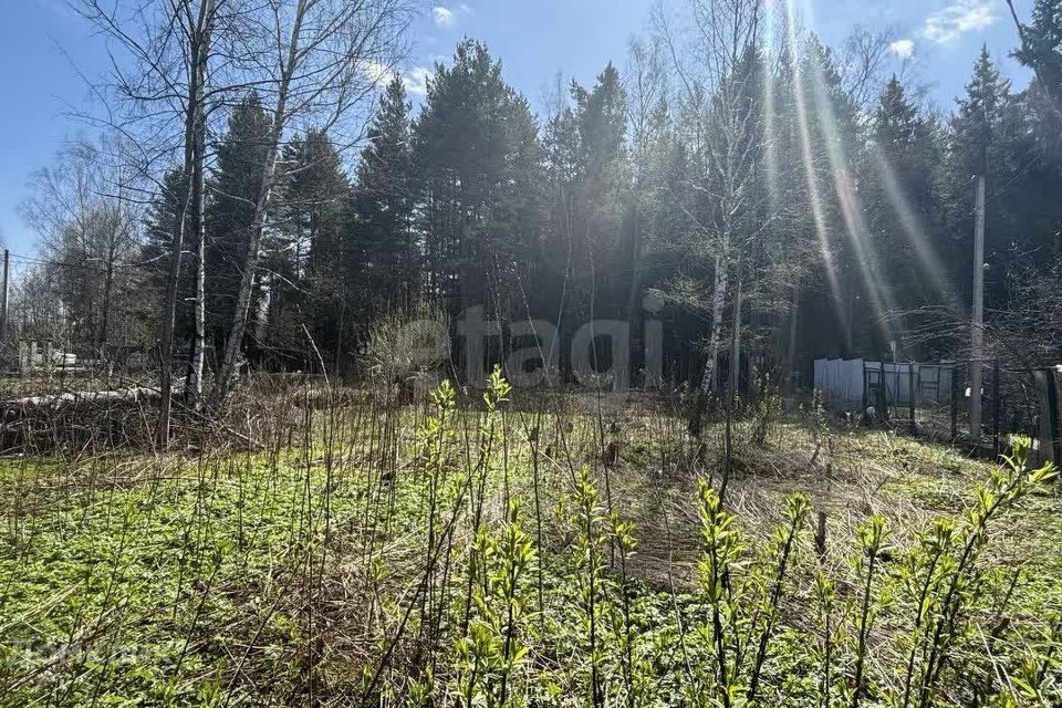 земля городской округ Химки, СНТ Кочка фото 2