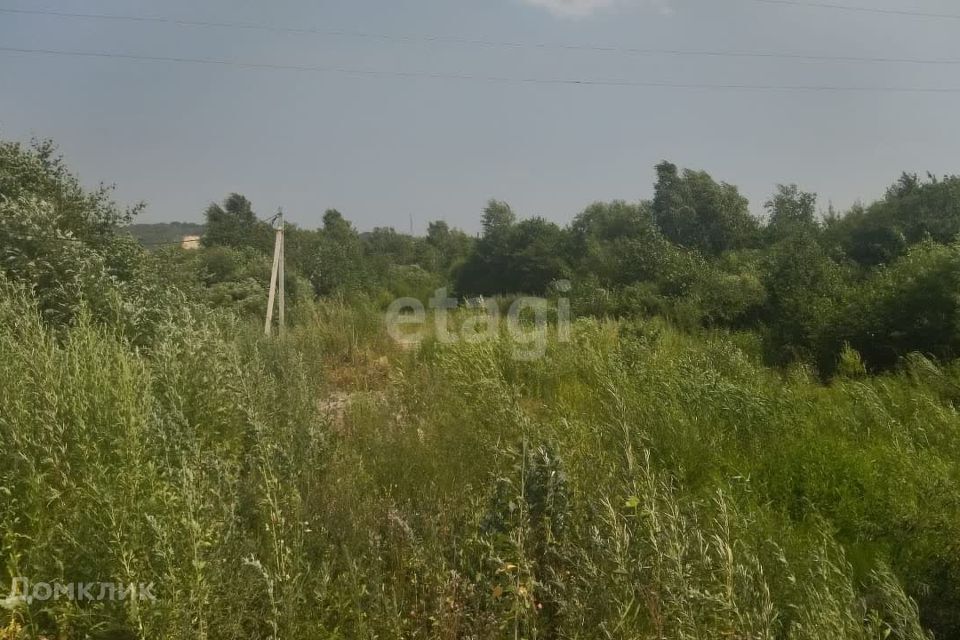 земля р-н Благовещенский село Чигири фото 1