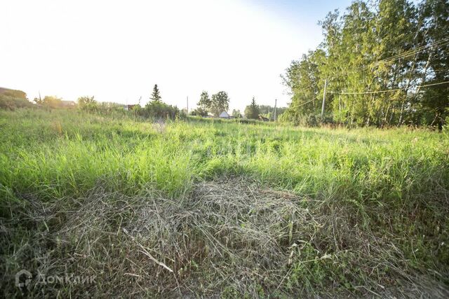 земля снт Слава ул 12-я городской округ Бердск фото