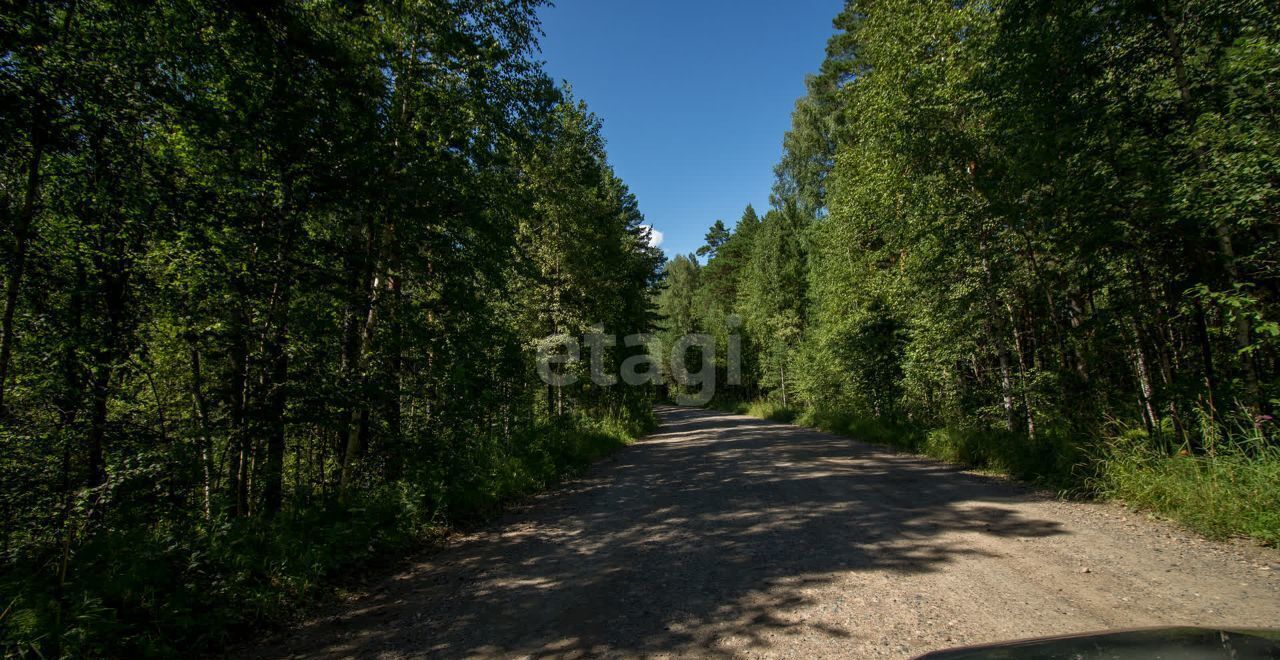 земля р-н Томский коттеджный пос. Журавли, Томск фото 11