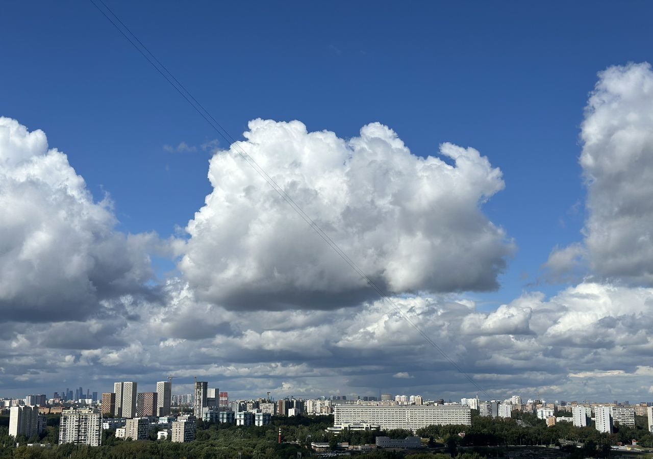 квартира г Москва метро Царицыно ул 6-я Радиальная 7/6к 1 микрорайон «Царицыно-2» муниципальный округ Бирюлёво Восточное фото 38