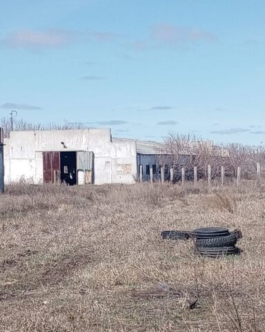 с Лотошное ул Лазорская 5 Лотошанский сельсовет, Краснозерское фото