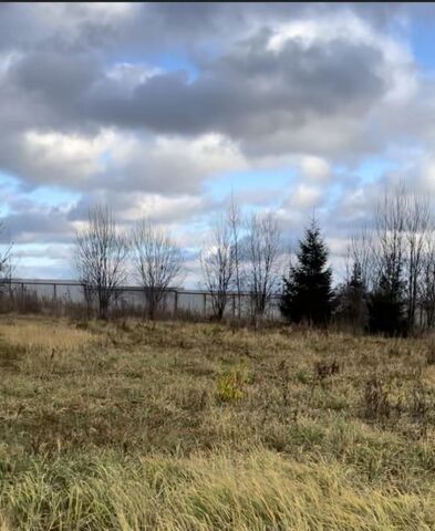 КП Ясная Поляна Можайский городской округ фото