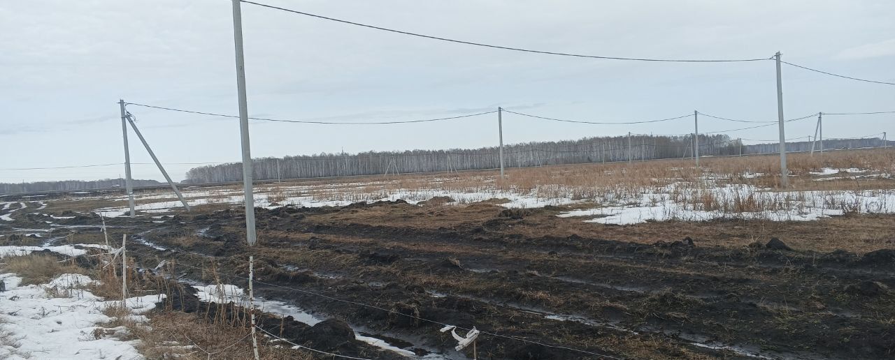 земля р-н Нижнетавдинский с Нижняя Тавда д. Малый Хутор, ул. Ветеранов фото 10