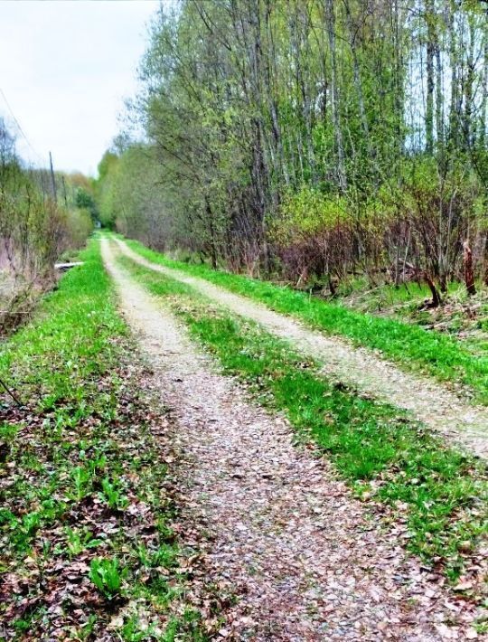 земля городской округ Шаховская д Городково снт Корешки фото 6