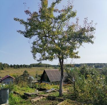 дом р-н Александровский г Александров снт Заозерный 39 фото 16