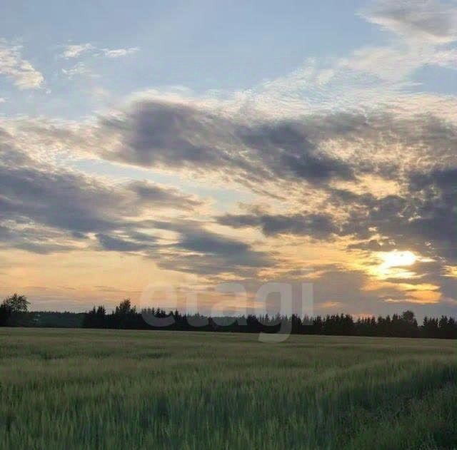 квартира р-н Вологодский п Майский ул Весенняя 7 фото 16