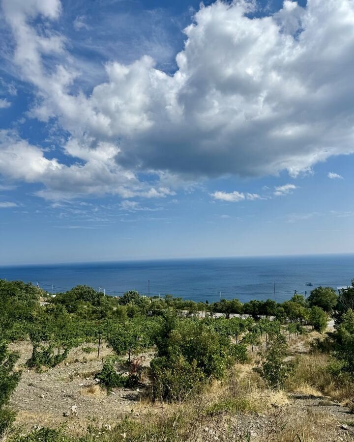 квартира г Ялта пгт Парковое ул Центральная 1в г Алупка фото 7