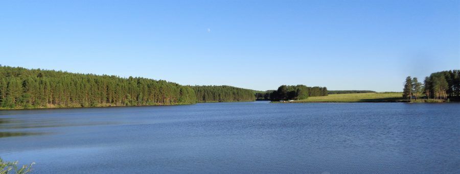 дом р-н Пригородный с Южаково ул Заречная фото 36