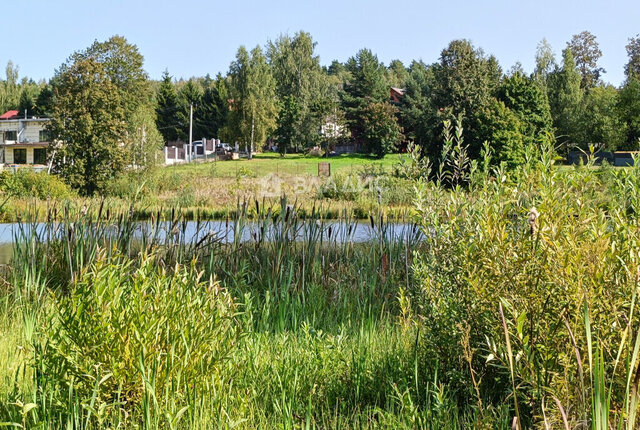 метро Лобня Московская область, городской округ Мытищи фото