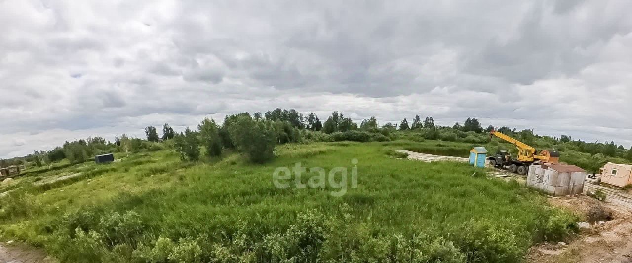 земля г Тюмень р-н Центральный снт Матрешка ул. Знатная фото 11