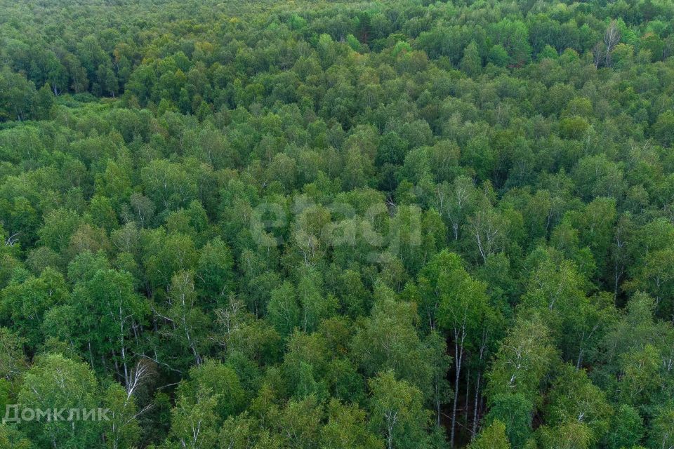 земля г Тюмень снт Светлячок городской округ Тюмень, 2-я улица фото 2