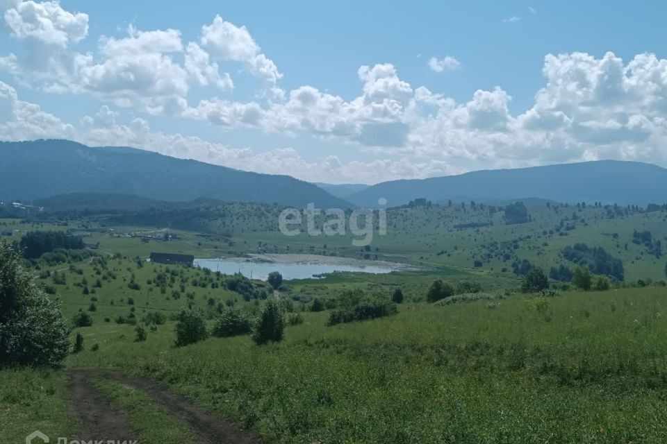 земля р-н Алтайский село Ая фото 1