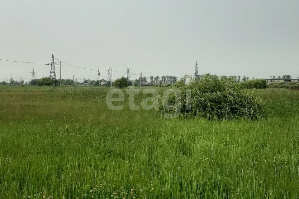 земля р-н Благовещенский село Волково фото 2