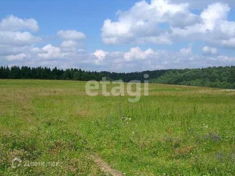 земля р-н Ленинский п Торхово Тула городской округ, Природный фото 2