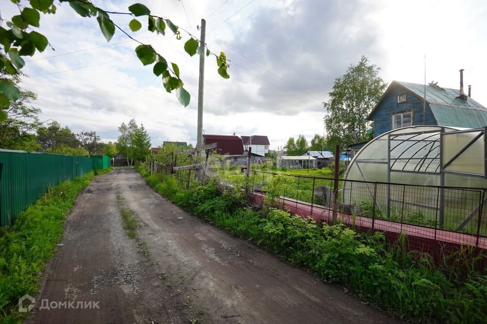 дом р-н Приморский д Шихириха снт тер.Лисьи Борки ул Главная фото 4