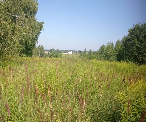 садово-дачное товарищество Радуга-1 фото