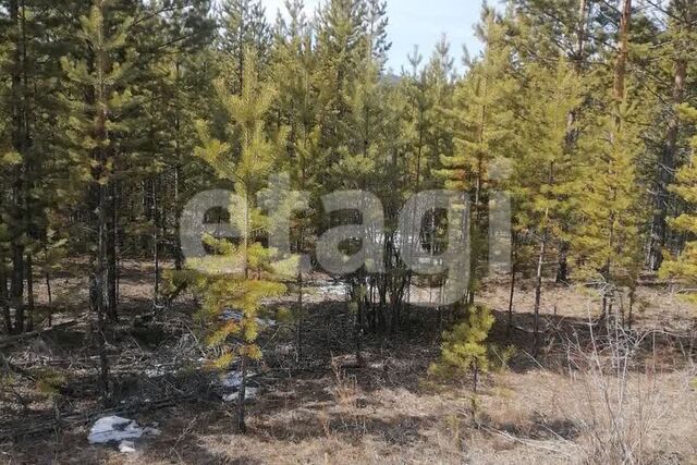 р-н Октябрьский городской округ Улан-Удэ, микрорайон Забайкальский фото