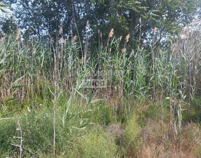 земля г Астрахань р-н Советский городской округ Астрахань, СНТ Авиатор фото 3