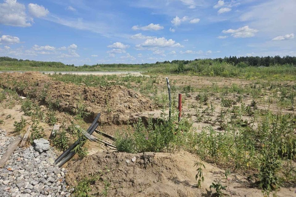 земля р-н Тюменский с Перевалово ул Прокопия Подаруева Переваловское сельское поселение фото 6