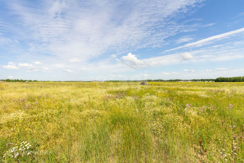 земля р-н Ленинский село Каменское фото 8