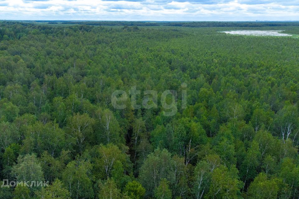 земля г Тюмень снт Светлячок городской округ Тюмень, 2-я улица фото 8