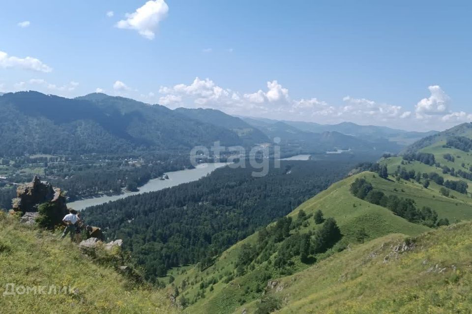 земля р-н Алтайский село Ая фото 8