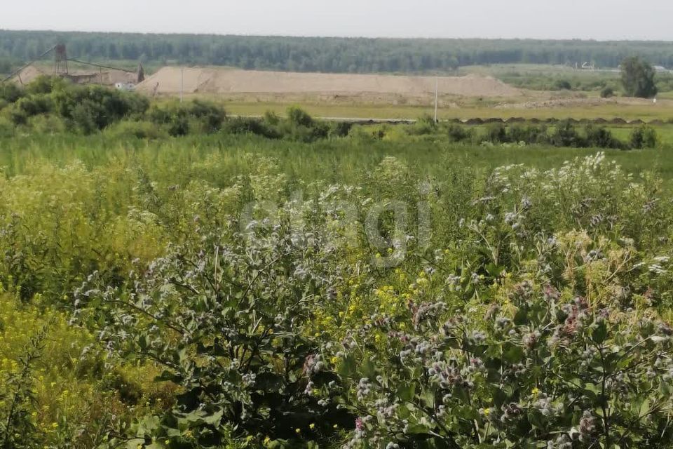 земля р-н Промышленновский Кемеровская область — Кузбасс, село Морозово фото 9