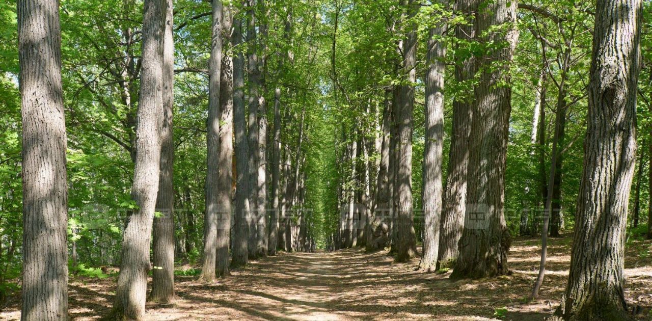 земля р-н Верхнеуслонский с Ключищи ул Солнечная Октябрьское с/пос фото 19