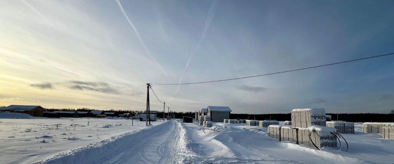 дом р-н Богородский д Пруды ул Березовская фото 10