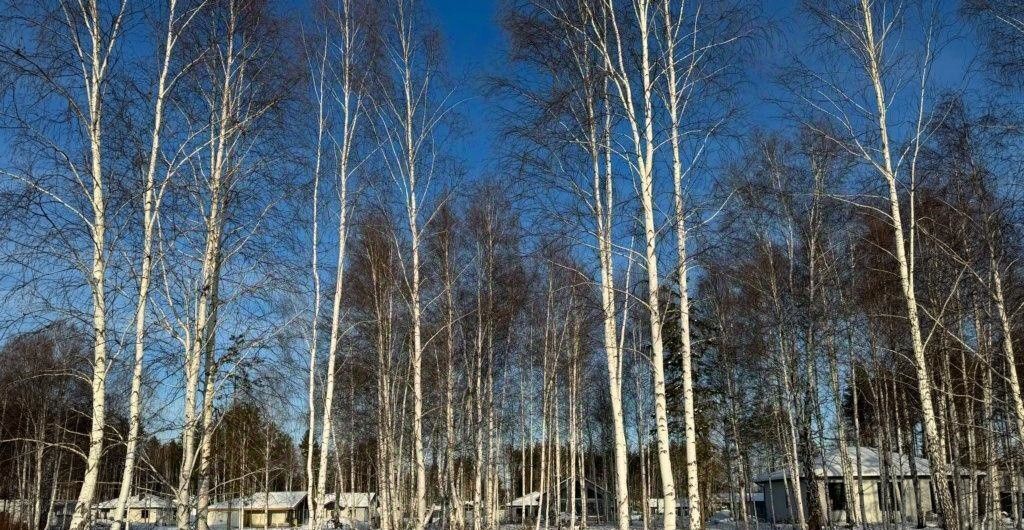 земля р-н Сысертский п Габиевский 4 фото 4