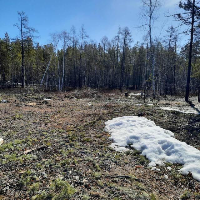 земля у Мегино-Кангаласский посёлок городского типа Нижний Бестях фото 3