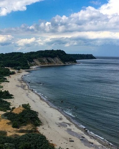 Донское, Светлогорский г. о. фото